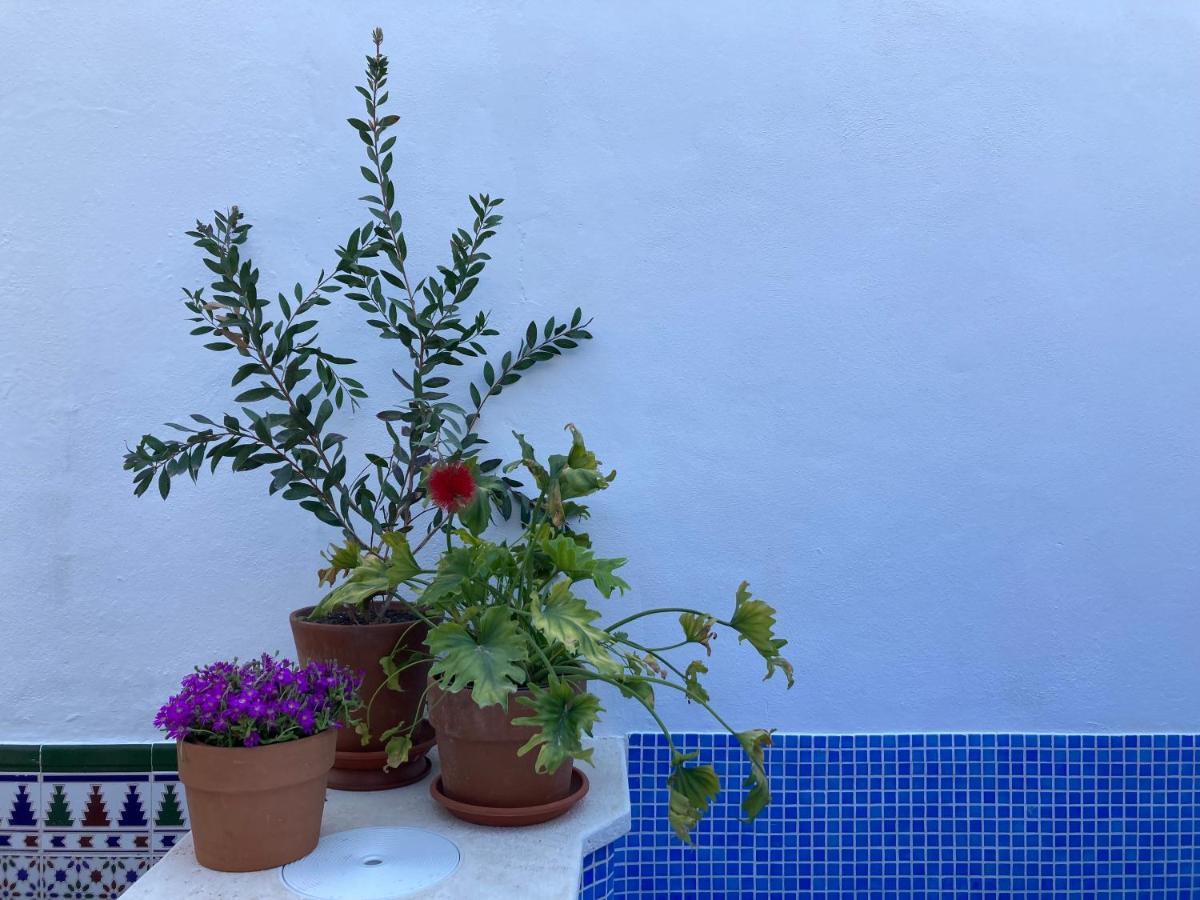 Casa Clemente 32, Private House With Plunge Pool Apartment Malaga Bagian luar foto