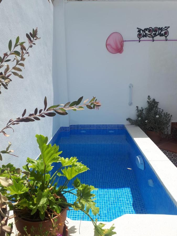 Casa Clemente 32, Private House With Plunge Pool Apartment Malaga Bagian luar foto